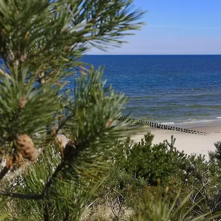 Dorka Rogowo (Gryfice)