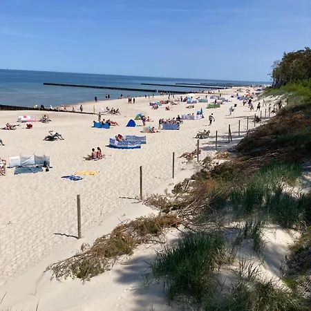 Dorka * Rogowo (Gryfice)