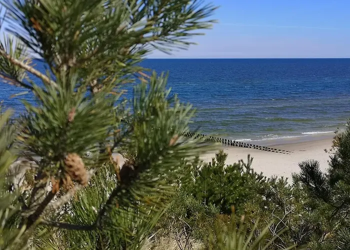 Dorka Rogowo (Gryfice)