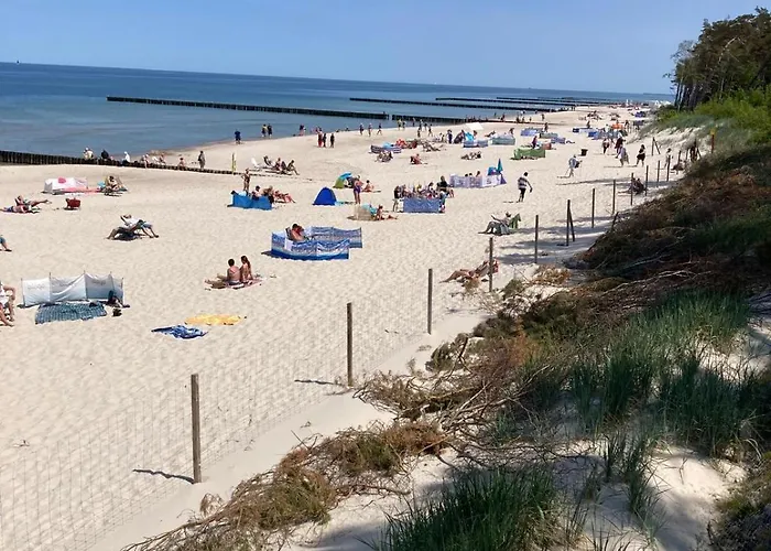 Dorka * Rogowo (Gryfice)